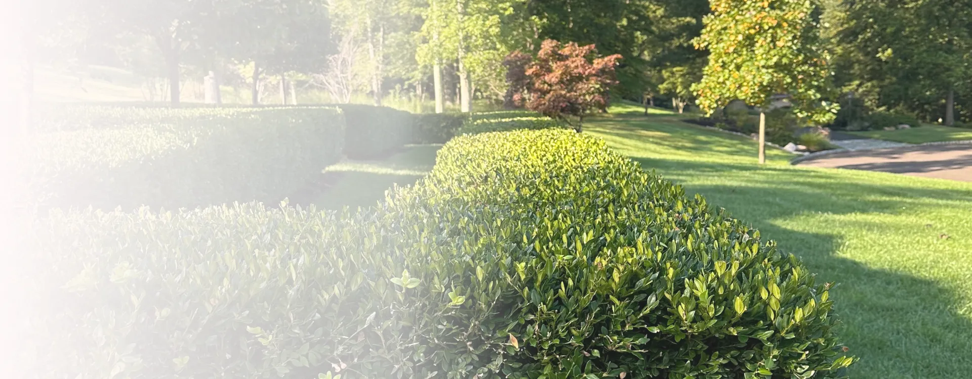 Hero Full Width Frame